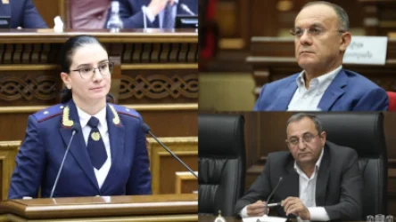 Գլխավոր դատախազը ցանկանում է Սեյրան Օհանյանի և Արծվիկ Մինասյանի նկատմամբ քրգործ հարուցել