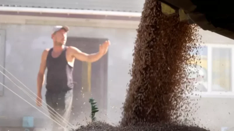 Բուլղարիայի խորհրդարանը հանել է Ուկրաինայից հացահատիկի ներկրման արգելքը