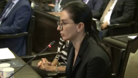 ՏԵՍԱՆՅՈՒԹ. Մանկապարտեզը լուծարել են, իսկ տարածքում սրճարան բացել. Վարդապետյանը ներկայացնում է