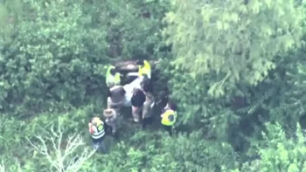 ՏԵՍԱՆՅՈՒԹ. Ֆլորիդայի Դիսնեյլենդում արջին նկատել են գաղտագողի ծառին նստած