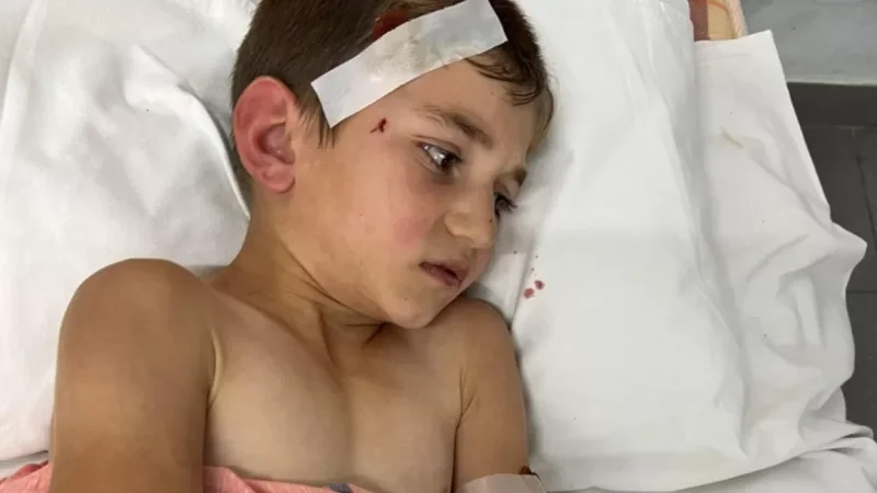 Արցախի ՄԻՊ-ը հայտնել է թարմացված տվյալներ՝ զոհերի և վիրավորների վերաբերյալ