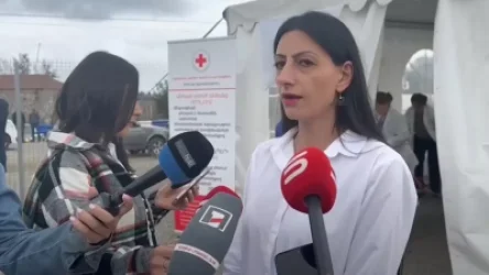 ՏԵՍԱՆՅՈՒԹ․ ՀՀ ՄԻՊ-ը Կոռնիձորում է. նա զրուցել է տեղահանվածների հետ