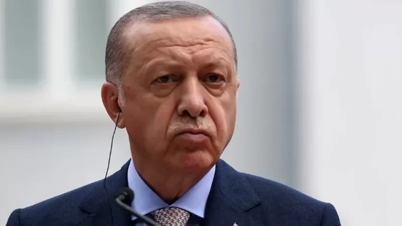 «Սպասում ենք, որ Հայաստանը չի ենթարկվի Սփյուռքի ու դրսի ուժերի սադրիչ ուղղորդումներին»․ Էրդողան