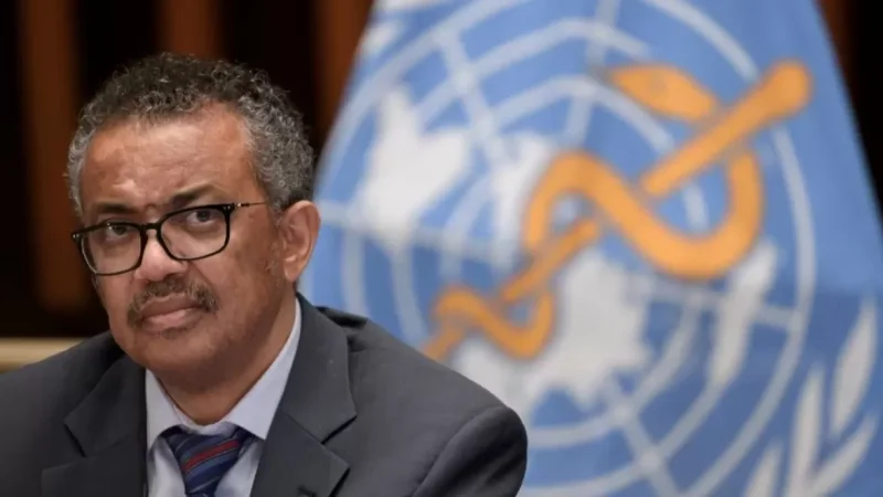 Ամեն ինչ կանենք աջակցելու համար. ԱՀԿ ղեկավարը՝ Արցախից բռնի տեղահանվածների մասին