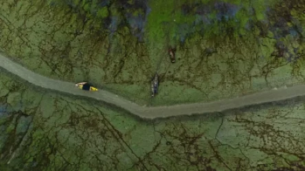 ԼՈՒՍԱՆԿԱՐՆԵՐ. Ամազոնի ջրի մակարդակը ռեկորդային նվազել է, սատկել են հարյուրավոր դելֆիններ և ձկներ