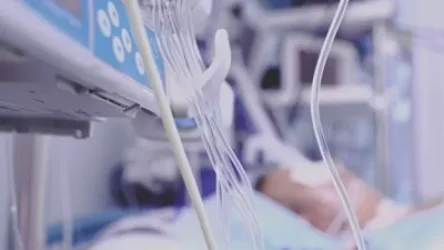 ԼՂ–ում պայթյունից տուժած 4 բուժառու կտեղափոխվեն Ֆրանսիա. Կոլոննա