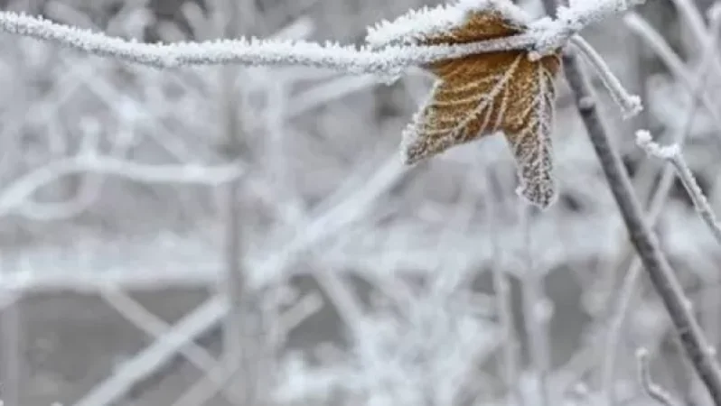 Հայաստանում ձյուն և մառախուղ է սպասվում, օդի ջերմաստիճանն էապես չի փոխվի