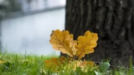 Առաջիկա օրերի եղանակը