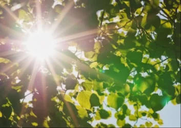 Եղանակը կտաքանա․ որքանով կբարձրանա ջերմաստիճանը