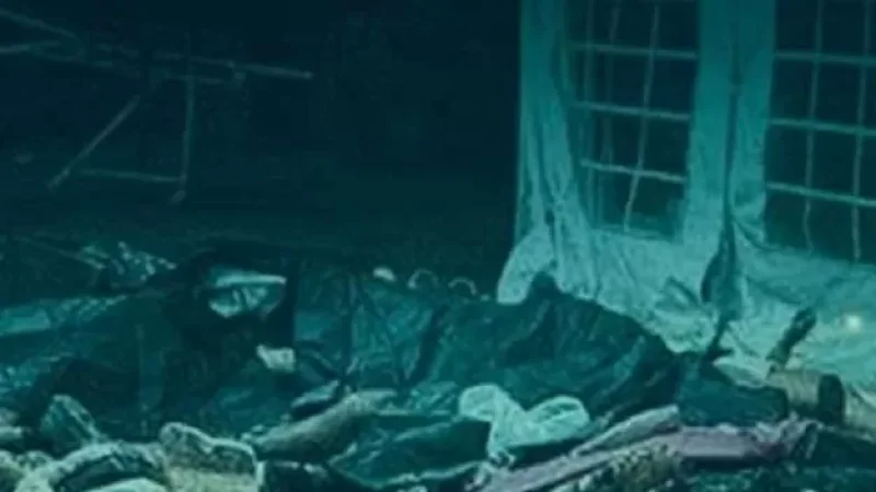 Իսրայելի հարավում՝ երաժշտական փառատոնի վայրում, հայտնաբերվել է 260 դի