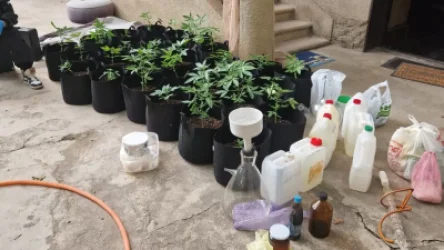 ՏԵՍԱՆՅՈՒԹ․ Բացահայտվել է թմրամիջոցների լաբարատորիա. կա 5 ձերբակալված