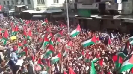 ՏԵՍԱՆՅՈՒԹ․ Իսլամական աշխարհում Պաղեստինին աջակցող ցույցեր են տեղի ունենում