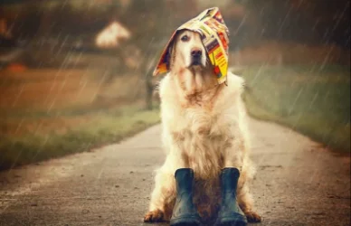 Ջերմաստիճանը կտրուկ կնվազի. եղանկը ՀՀ-ում