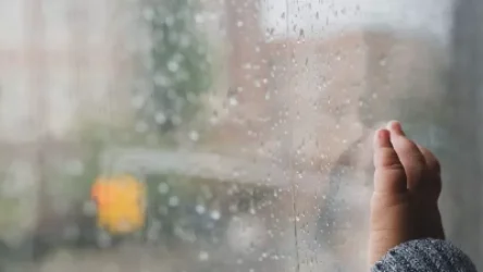 ԶԱԳՍ–ի նախկին պետը մեղադրվում է մանկատների երեխաներին վաճառելու համար. դատախազություն