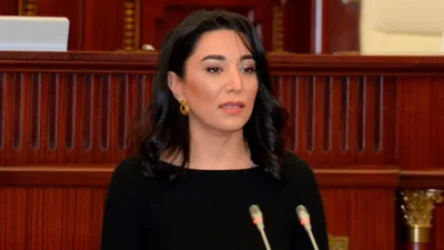 Ադրբեջանի օմբուդսմենը վստահեցնում է, որ Արցախի նախկին պաշտոնյաները «կալանքի պայմաններից բողոք չունեն»