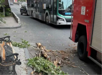 Քամու պատճառով ծառի ճյուղերը և նստարանը ընկել են քաղաքացու վրա