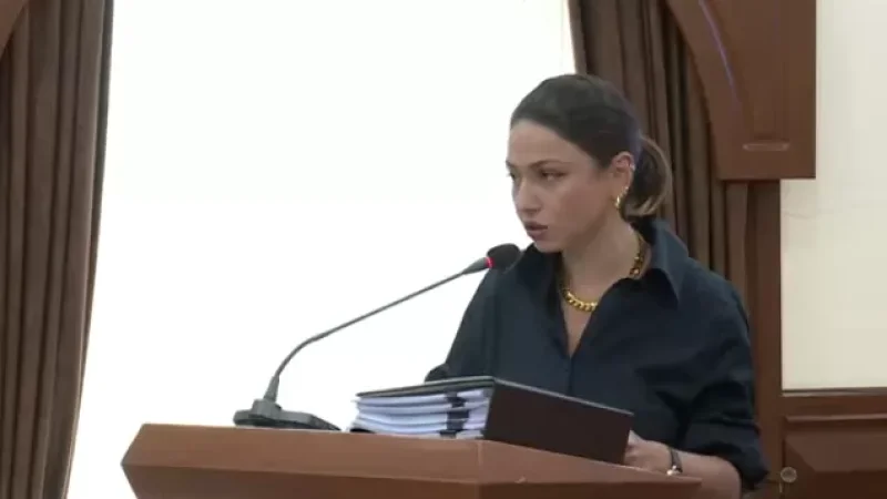 Իշխանությունը կորցնելուց հետո վարչապետը հանգիստ քայլելու՞ է Երևանի փողոցներում․ Վարդանյանը պատասխանում է