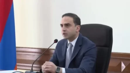 ՏԵՍԱՆՅՈՒԹ. «Տարբերություն չկա՝ փող ես գողանում, թե հող». Ավինյան