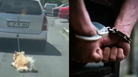 Շանը մեքենայից կապած ու քարշ տված տղամարդը ձերբակալվել է