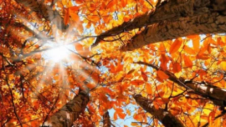 Ինչ եղանակ սպասել առաջիկա օրերին