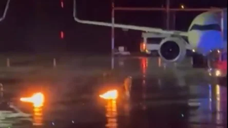 ՏԵՍԱՆՅՈՒԹ․ Թուրք տղամարդն առևանգել է 4-ամյա դստերը․ մանրամասներ՝ Համբուրգի օդանավակայանից