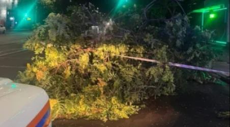 Ուժեղ քամու հետևանքով մարզերում և Երևանում 33 արտակարգ դեպք է գրանցվել