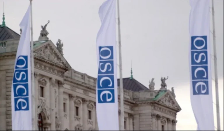 Ուզում ենք՝ ԵԱՀԿ Մինսկի խումբը նետվի պատմության աղբանոցը․ Ադրբեջանի նախագահի օգնական