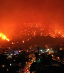 Թուրքիայում հրդեհների հետևանքով 13 մարդ է զոհվել