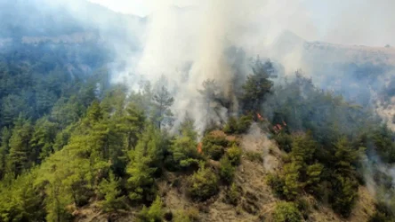 Թուրքիայում անտառային հրդեհները չի հաջողվում ամբողջությամբ մարել