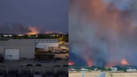 Ֆրանսիայում մոլեգնում է վերջին 20 տարվա ընթացքում ամենախոշոր անտառային հրդեհը