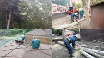 Փրկարարների արձագանքը՝ ուժեղ քամու վերաբերյալ ստացված ահազանգերին