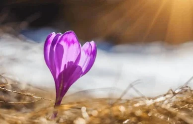 Ինչ եղանակ սապասել առաջիկայում