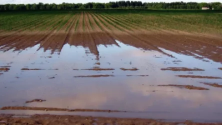 Արտակարգ դրություն` հորդառատ անձրևների պատճառով. Լիտվա