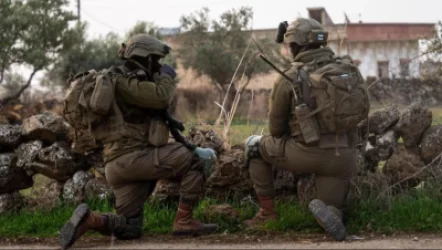 ՑԱԽԱԼ-ը Սիրիայի հարավում զինյալների է ձերբակալել