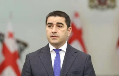 Վրաստանը ԵՄ-ին անդամակցելու ճանապարհին չպետք է ֆիզիկապես և հոգեպես վնասի ինքն իրեն․ Պապուաշվիլի