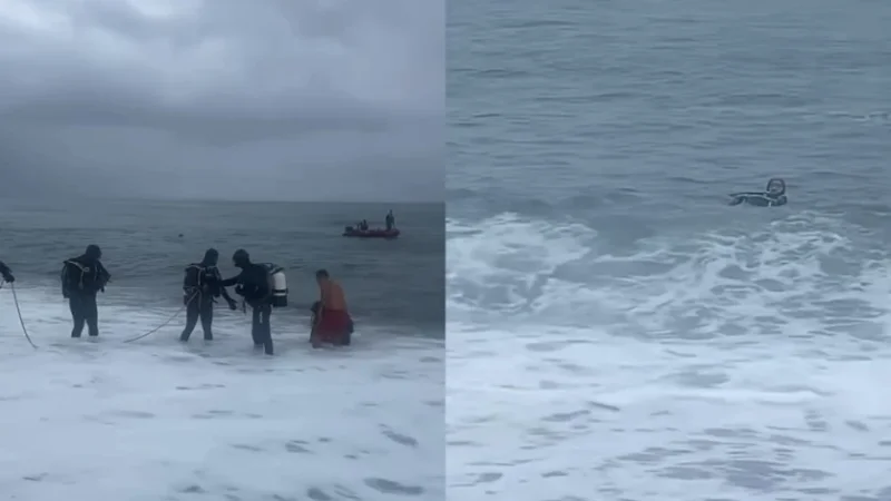 Հայտնի է՝ ով է Քոբուլեթիում ջրահեղձ եղած հայ երիտասարդը