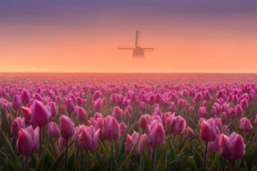 ԵՂԱՆԱԿ. Օդի ջերմաստիճանն աստիճանաբար կբարձրանա