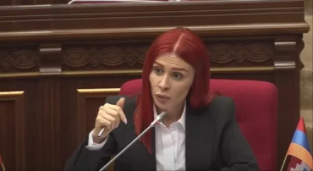 Արդյոք հայ սահմանապահը ստուգելու է ադրբեջանցիների անձնագրերը․ Խամոյանը՝  Փաշինյանին