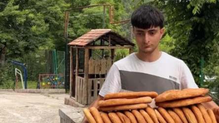 ՀՅԴ անդամ 18-ամյա Անդրանիկ Չամիչյանը կալանավորվեց