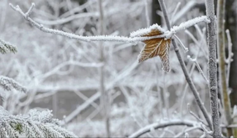 Ինչ եղանակ սպասել առաջիկայում