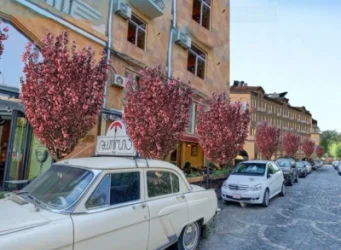 Մոսկովյան փողոցում ծառերը փոխարինվել են սակուրաներով, Սայաթ-Նովայում՝ գնդաձև սոսիներով