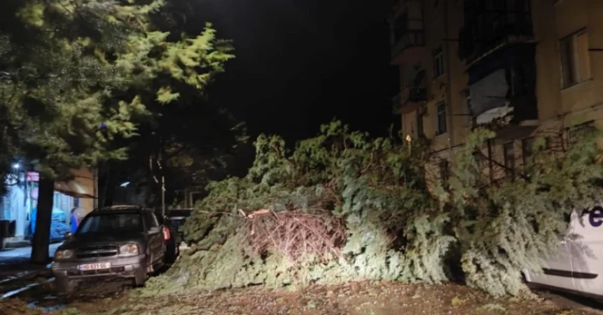 Ուժեղ քամին խնդիրներ է ստեղծել Սևծովյան Բաթումիում