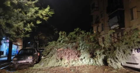 Ուժեղ քամին խնդիրներ է ստեղծել Սևծովյան Բաթումիում