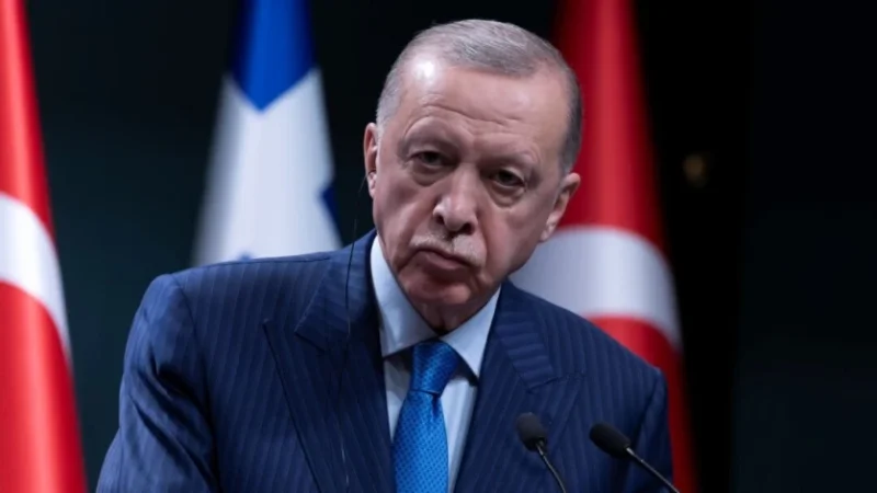 Էրդողանը մեկնաբանել է Թրամփ-Նեթանյահու բանակցությունները