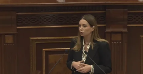 Վոլոդյա Գրիգորյանի սպանության մեջ դերակատարում ունի իրավապահ համակարգի բարձիթողի վիճակը. Աննա Գրիգորյան