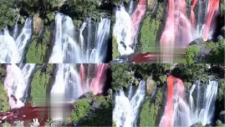 Որքան են տուգանվել Շաքիի ջրվեժում «գենդեր փարթի» իրականացնողները