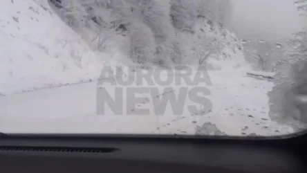 ՏԵՍԱՆՅՈՒԹ. Ինչ իրավիճակ է դեպի Դիլիջան տանող ճանապարհին. ահազանգ