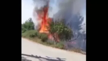 ՏԵՍԱՆՅՈՒԹ. Թուրքիայի օդանավակայաններից մեկի մոտ անտառային հրդեհ է բռնկվել