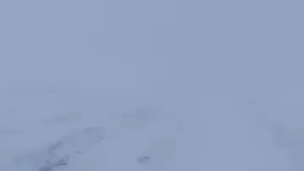 ՏԵՍԱՆՅՈՒԹ. Շիրակի մարզում բուքը շարունակվում է, փակ ճանապարհներ չկան