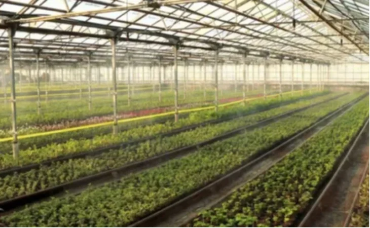 «Կանաչապատում և շրջակա միջավայրի պահպանություն» ՀՈԱԿ-ն այս տարի կունենա 20 հա տարածքով տնկարան